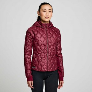 Saucony Solstice Oysterpuff Jacket Sundown | 145763-CUL