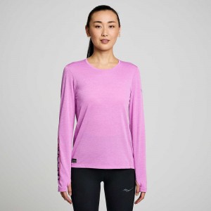 Saucony Stopwatch Graphic Long Sleeve Grape Heather Graphic | 642307-KNP