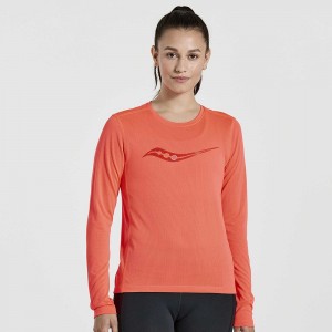 Saucony Stopwatch Graphic Long Sleeve ViZiRed Graphic | 201964-XGD