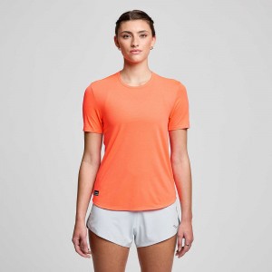 Saucony Stopwatch Short Sleeve ViZiRed | 736840-CQI