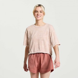 Saucony Unwind Crop Short Sleeve Sepia Rose | 530214-OBL