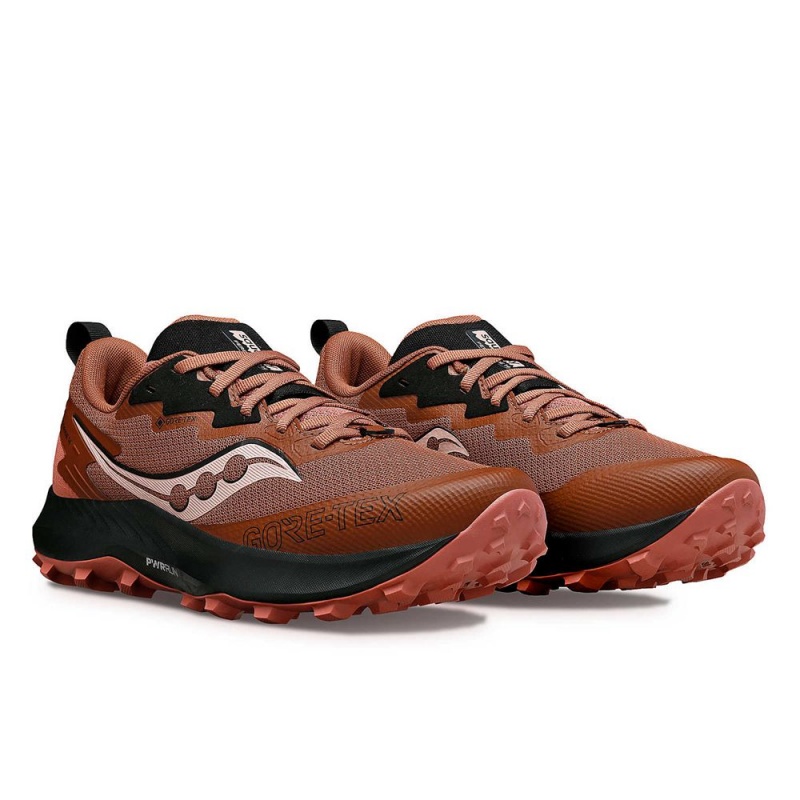 Saucony Peregrine 14 Gtx Clove/Black | 145697-LOQ