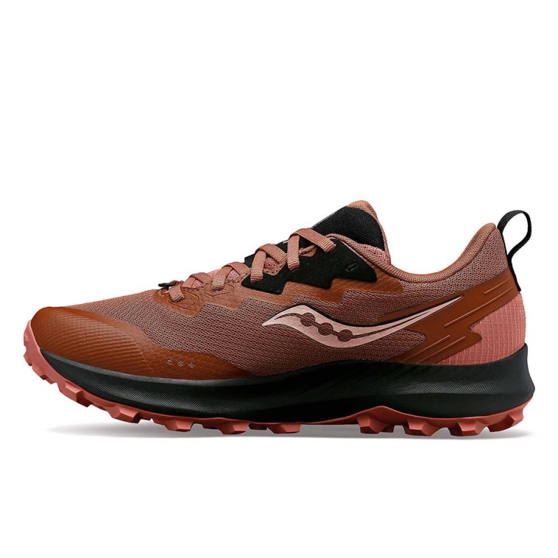 Saucony Peregrine 14 Gtx Clove/Black | 145697-LOQ