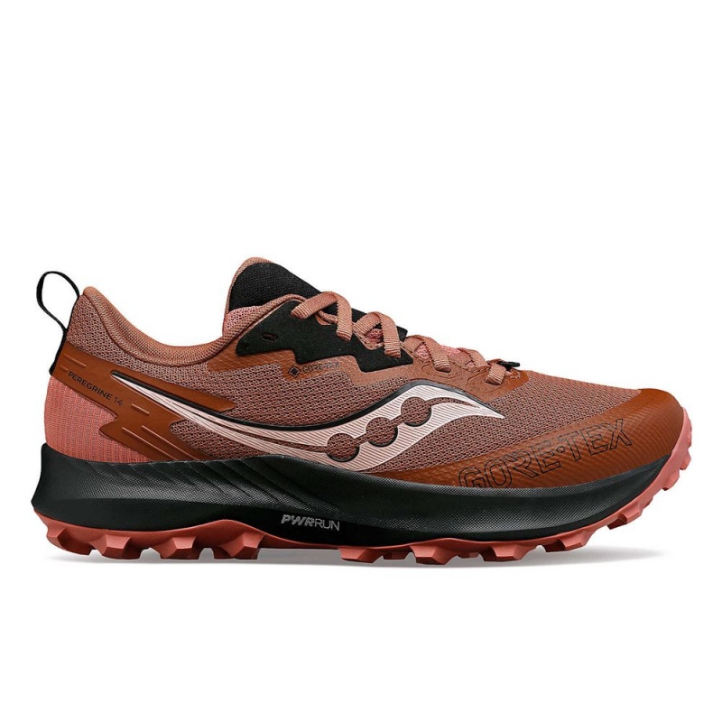 Saucony Peregrine 14 Gtx Clove/Black | 145697-LOQ