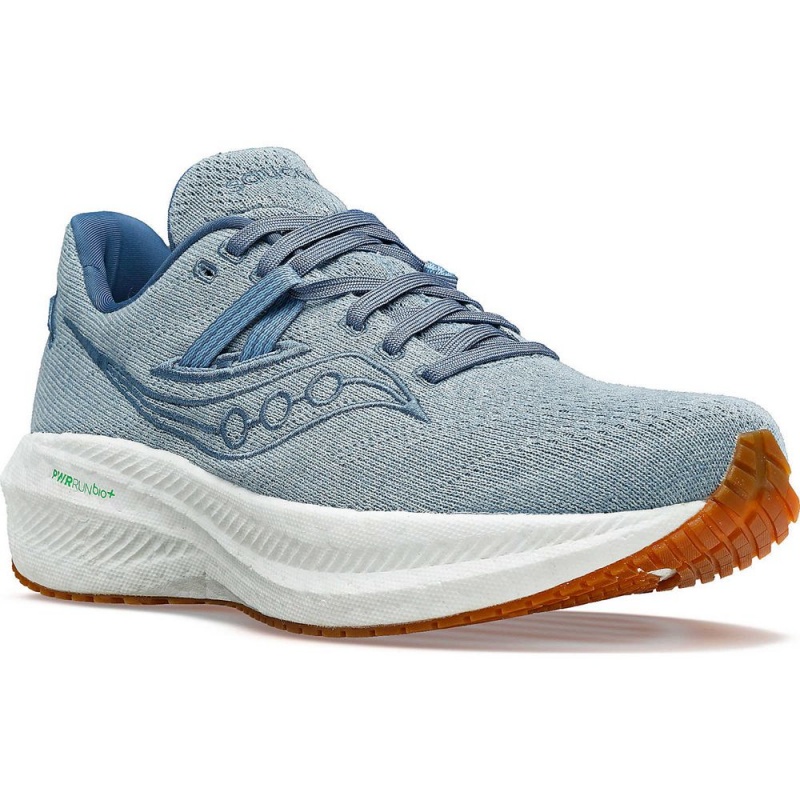 Saucony Triumph Rfg Murk | 350629-ITN